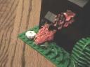mocpages_creations_0019.jpg