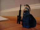 sg_guard_wip.jpg