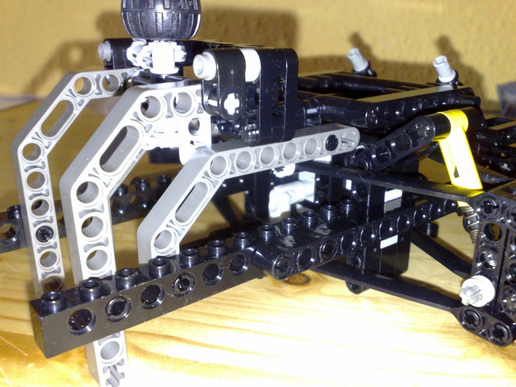 8017.jpg