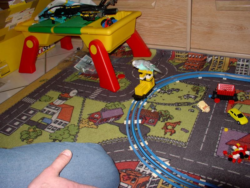 birdtrain3.jpg