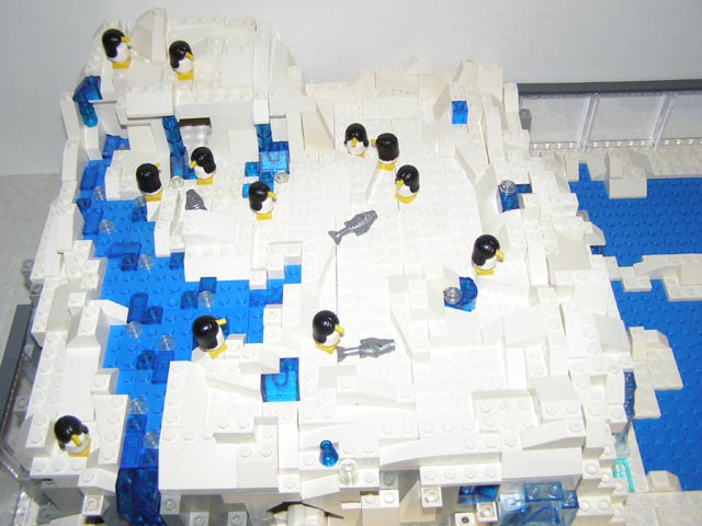 polar_04.jpg
