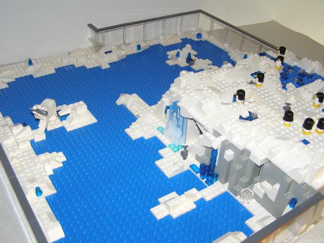 polar_05.jpg