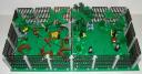 zoo_monkeys_gorillas_02.jpg