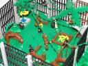 zoo_monkeys_gorillas_05.jpg
