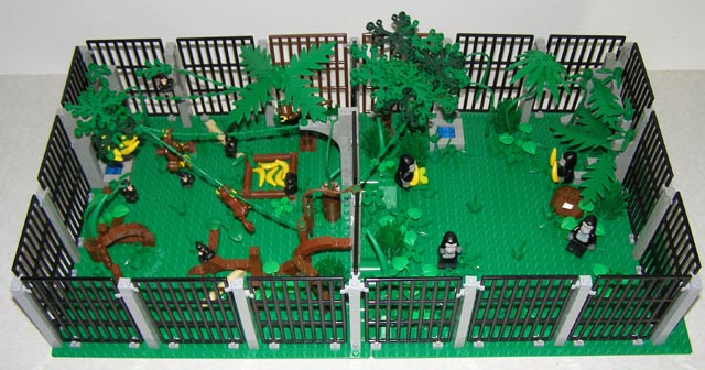 zoo_monkeys_gorillas_02.jpg