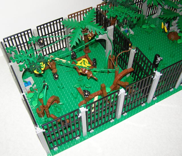zoo_monkeys_gorillas_03.jpg
