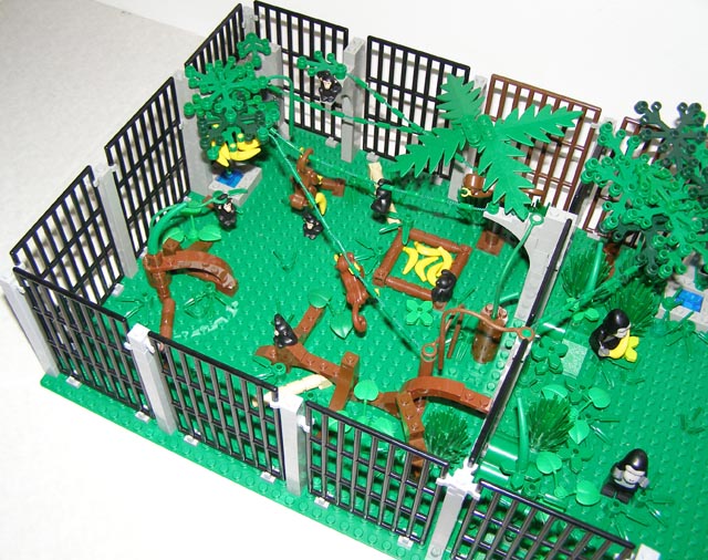 zoo_monkeys_gorillas_04.jpg