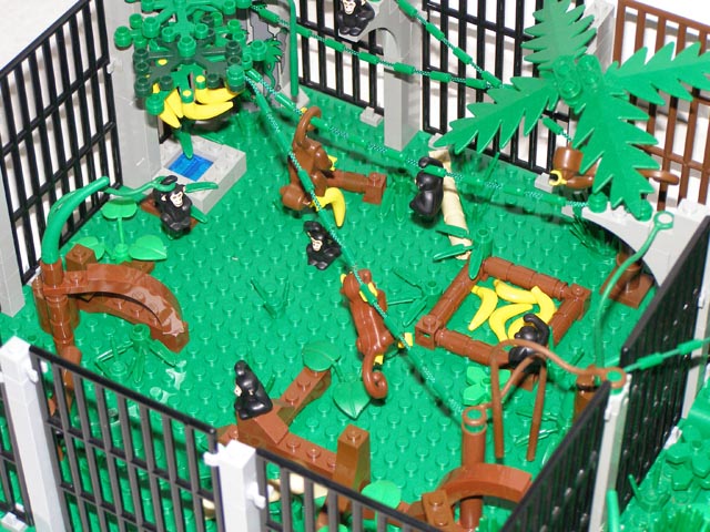 zoo_monkeys_gorillas_05.jpg