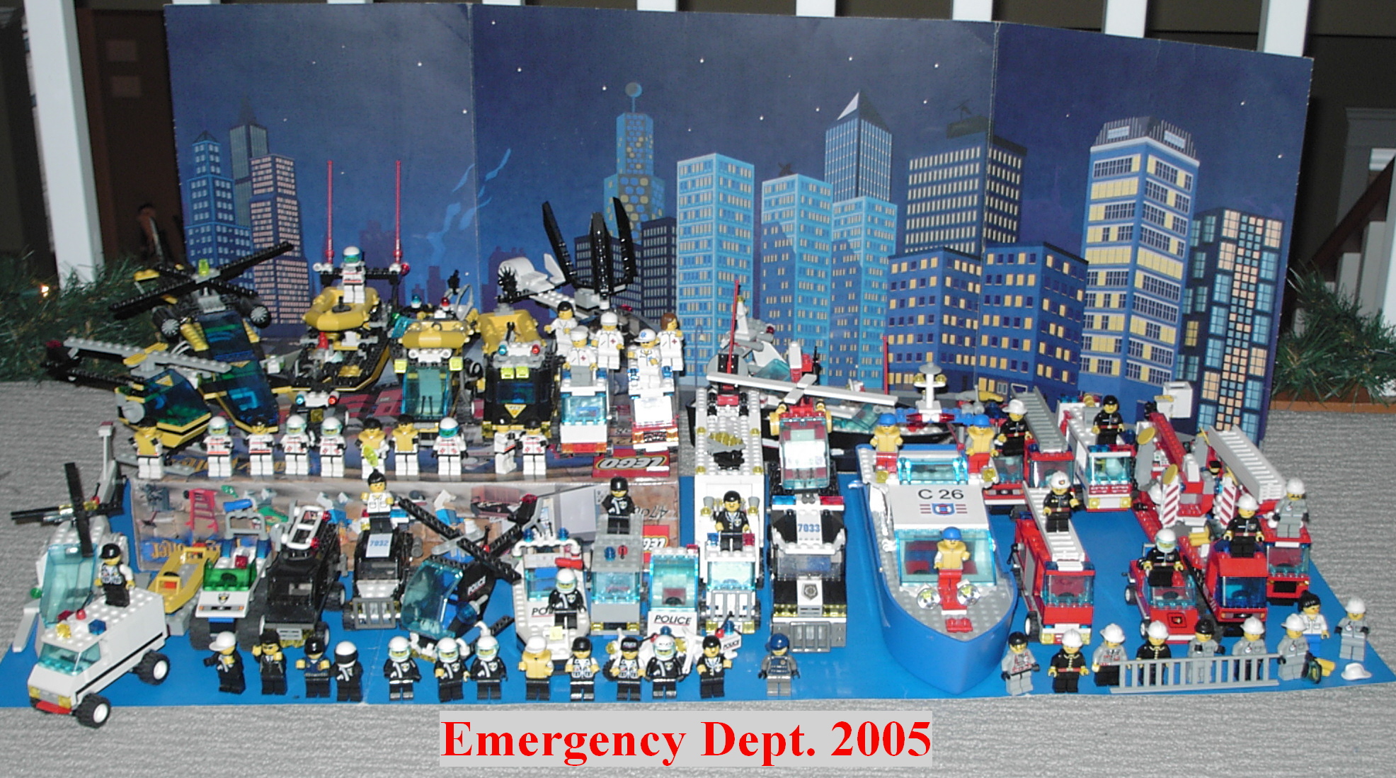 emergencydept2005.jpg