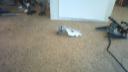 win_20140807_092611.jpg