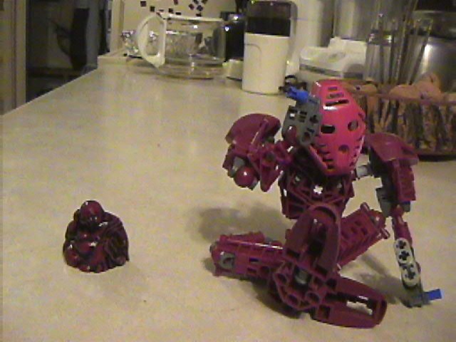bioniclebudda.jpg.jpg