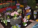 dscf1211.jpg