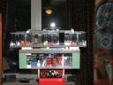 dscf1241.jpg