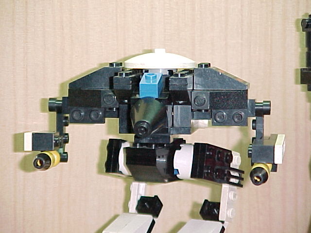 cougartorso.jpg