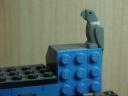 madcatbird2.jpg