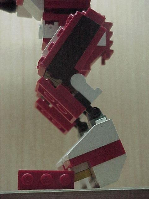 novacatlegs2.jpg