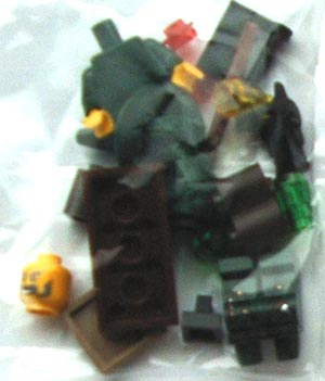 7955wizard04baggie.jpg
