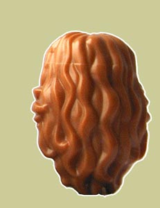 8684fig_11singerhair02.jpg