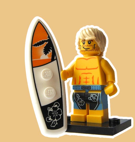 8684fig_15surfer.jpg