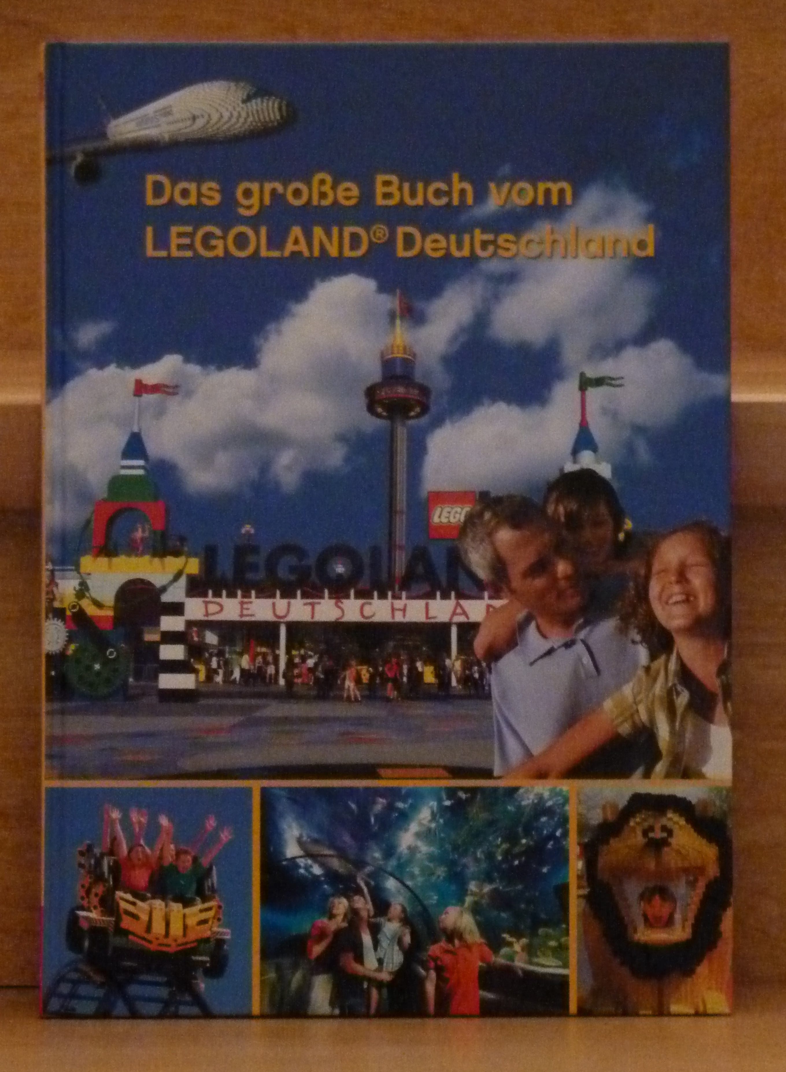 das_grosse_lego_buch_von_deutschland_2009.jpg
