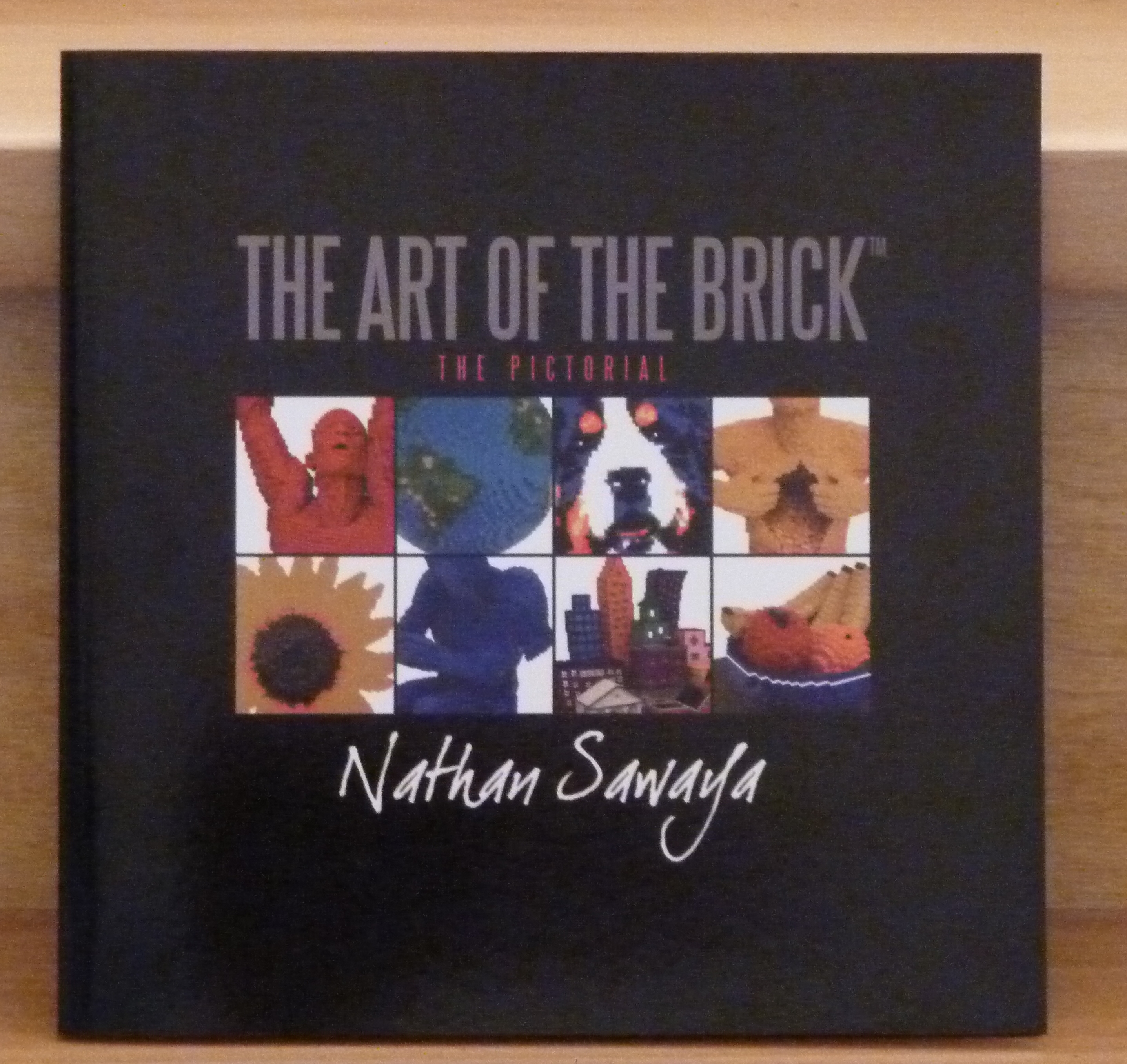 the_art_of_the_brick_-_nathan_sawaya.jpg