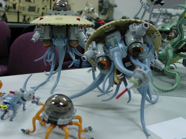 dsc00161.jpg