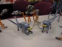 dsc00158.jpg