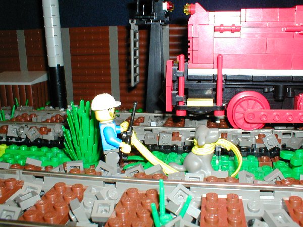 07.jpg