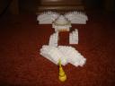 dsc01850.jpg