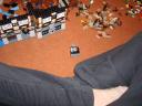 dsc02254.jpg