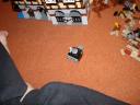 dsc02255.jpg