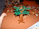 dsc02268.jpg