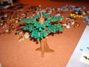 dsc02269.jpg