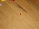 dsc01938.jpg