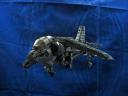 harrier_09.jpg