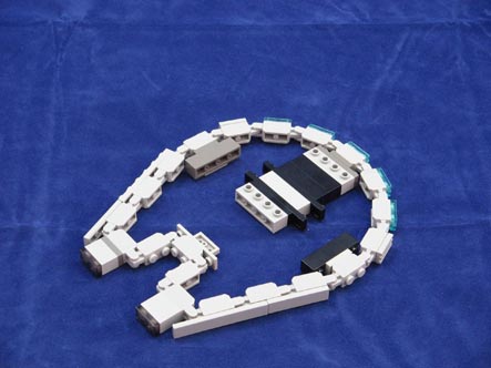 falcon_004.jpg