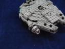 falcon_041.jpg