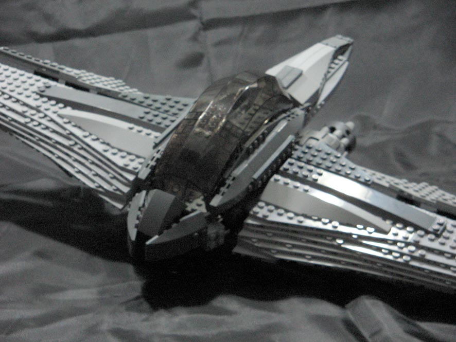 dove_06.jpg