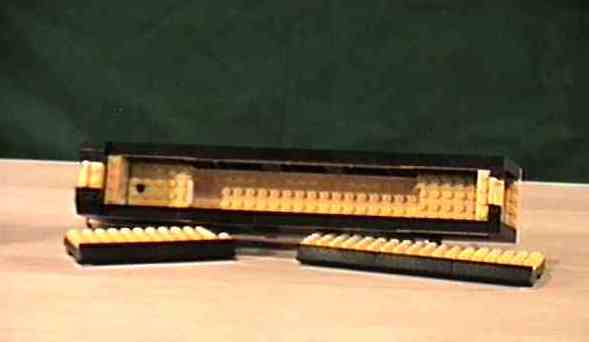 blackyellow5.jpg