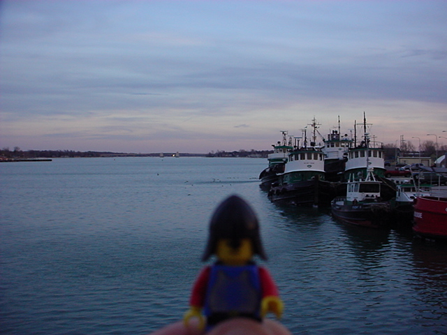 bay.jpg