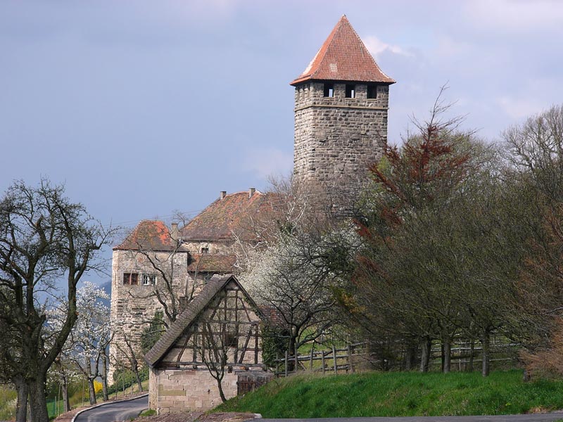 lichtenberg_b.jpg