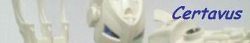 certavus13a.jpg