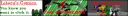 combinedbanners.gif