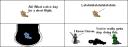 gadu4.gif