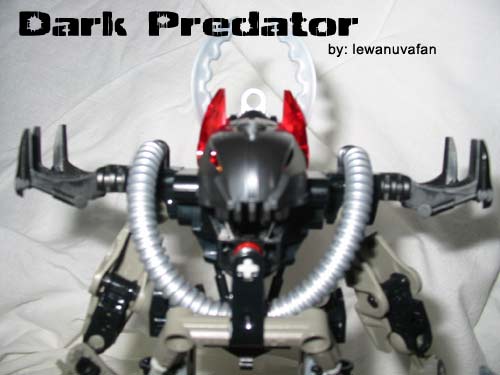 dark_predator_010.jpg