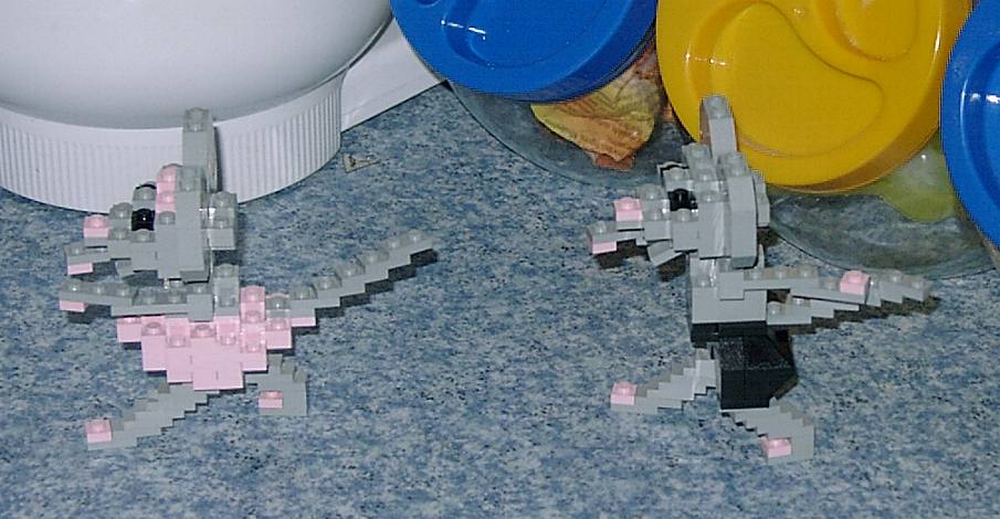 mouse-04.jpg