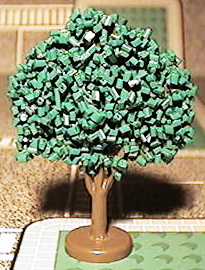 baum12.jpg