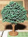 baum12.jpg