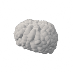 2402.png