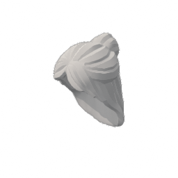 2633.png